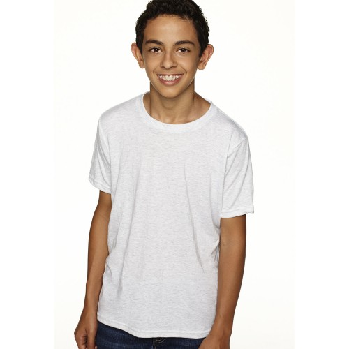 N6310 Next Level Apparel Youth Triblend Crew