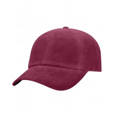TW5507 J America Adult Artifact Cap